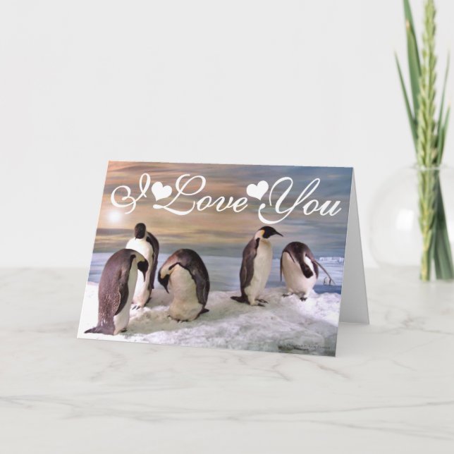 Carte Pingouins Roi Photo I Love You (Devant)
