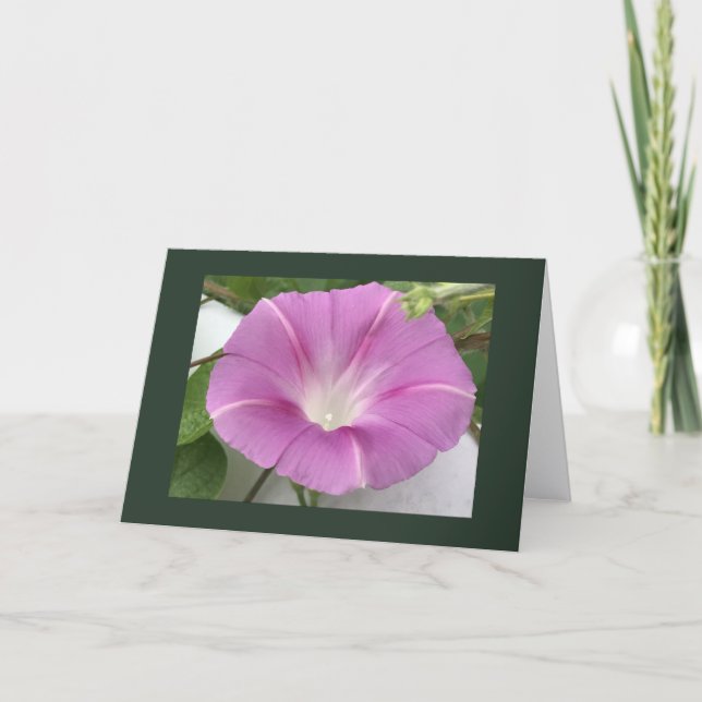 Carte Pink Charm Morning Glory Blank (Devant)