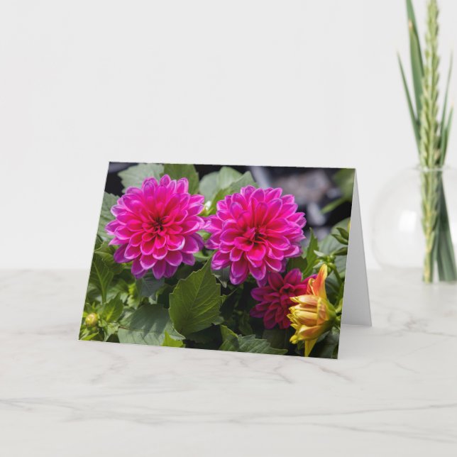 Carte Pink Dahlia Blank Note Card (Devant)