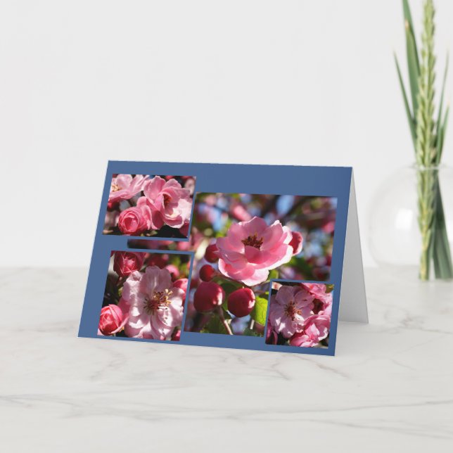 Carte Pink Flowers Any Occasion Greeting Card (Devant)
