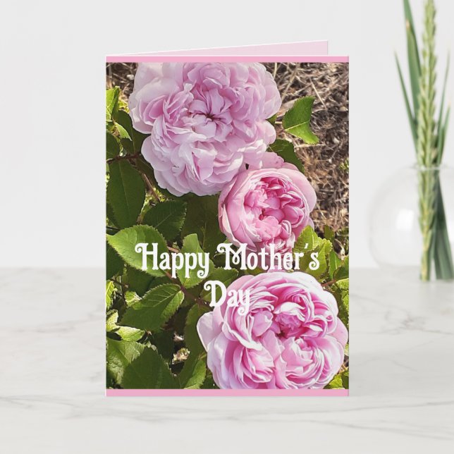 Carte Pink Flowers Floral Rose Roses Mothers Day Card (Devant)