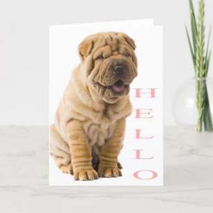 Carte Pink Hello Shar Pei Puppy Dog Blank