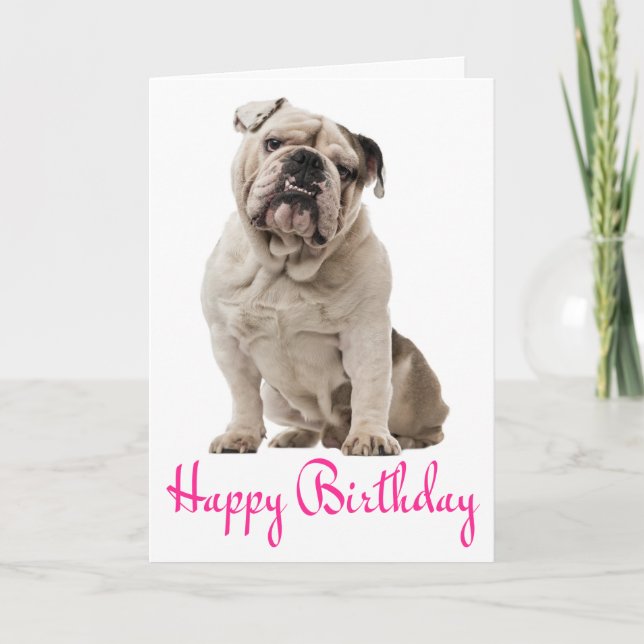 Carte Pink Joyeux Anniversaire Anglais Bulldog Chien Chi (Devant)