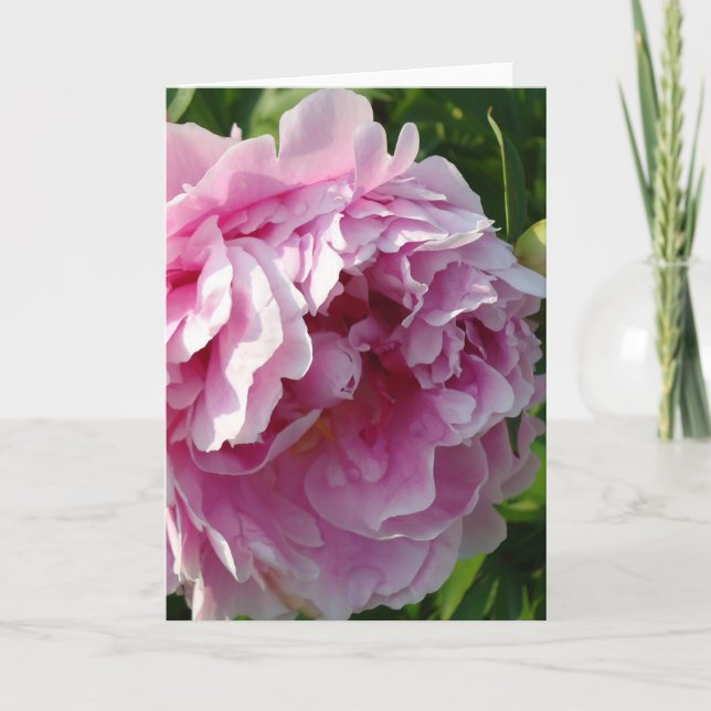 Carte Pink Peony photo cottage ferme jardin fleuri (Devant)
