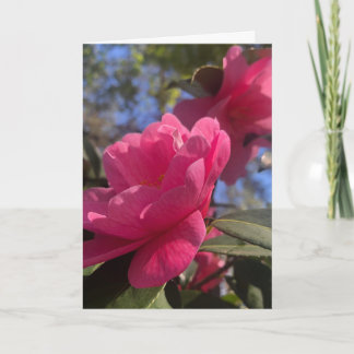 Carte Pink Petals 1 - Folded Greeting Card