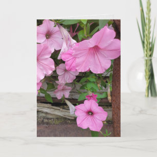 Carte Pink Petunias pense à vous