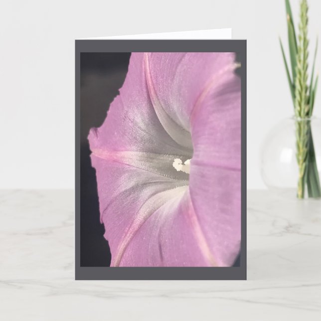 Carte Pink-Satin Morning Glory Blank (Devant)