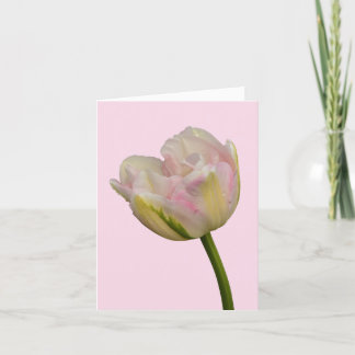 Carte Pink Tulip Blank ou Custom Grey Merci Note