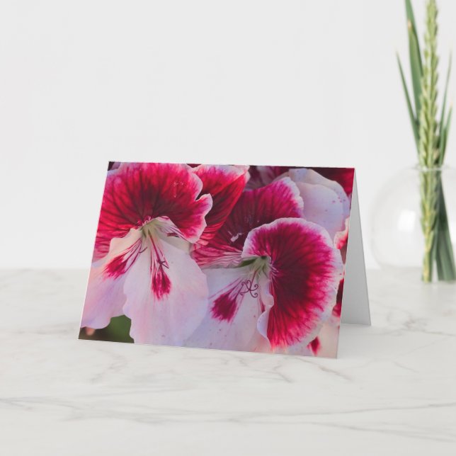 Carte Pink & White Flowers Blank Notecard (Devant)