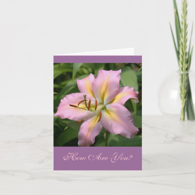 CARTE "PINK&YELLOW DAY LILY/COMMENT ÊTES-VOUS ?" (Devant)
