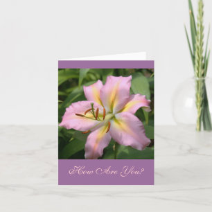CARTE "PINK&YELLOW DAY LILY/COMMENT ÊTES-VOUS ?"