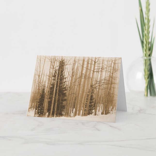 Carte Pins dans le mélange - Blank Inside Greeting Card (Devant)