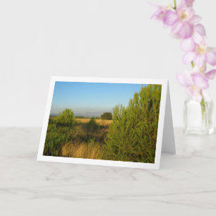 Carte Pins de campagne