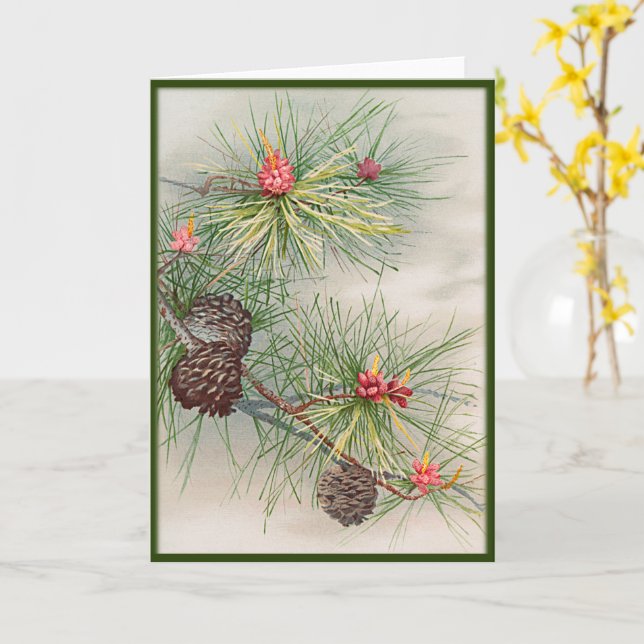Carte Pins et fleurs Noël (Fleur jaune)