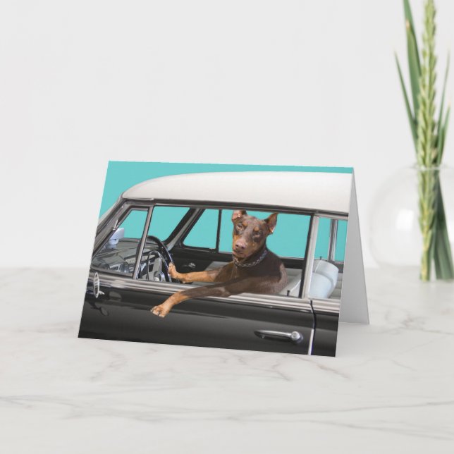 Carte Pinscher de dobermann conduisant la voiture (Devant)
