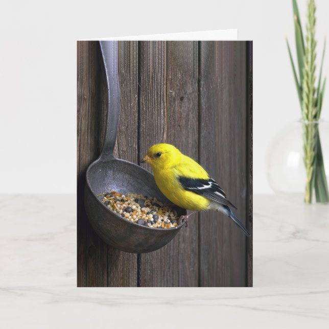 Carte Pinson jaune d'anniversaire sur une louche rouillé (Devant)