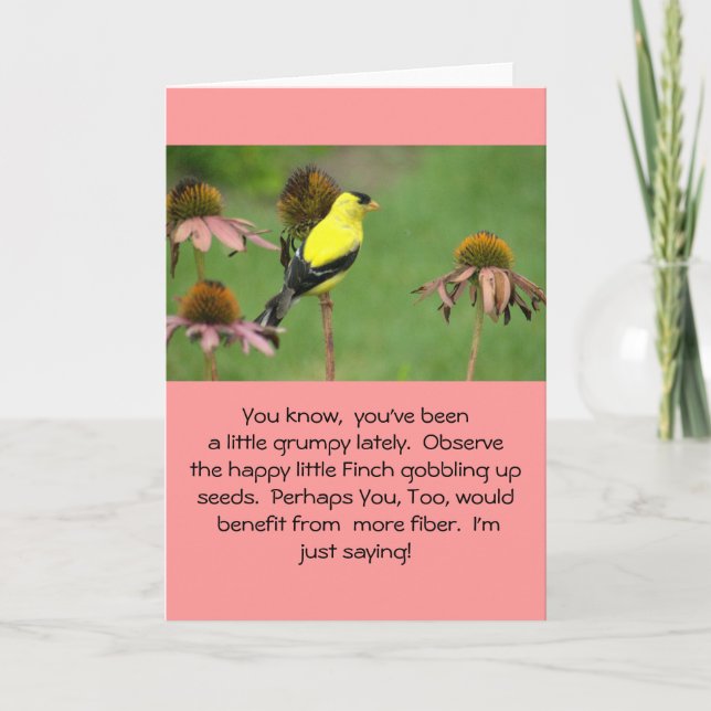 CARTE PINSON JAUNE SUR CONEFLOWER/HUMOR/FRIENDSHIP (Devant)