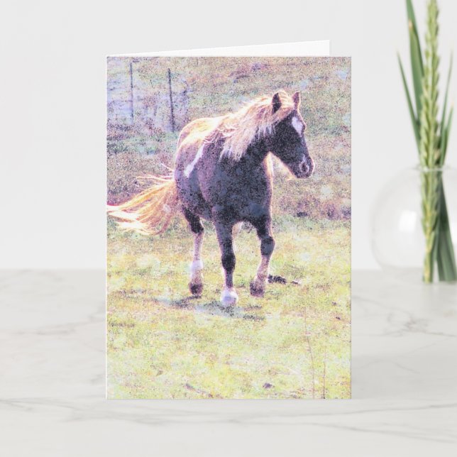 Carte Pinto Pony, Fête des pères (Devant)