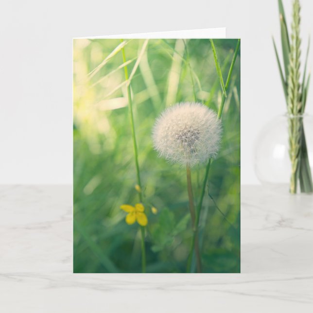 Carte Pissenlit dans la verdure avec une douce lumière e (Devant)
