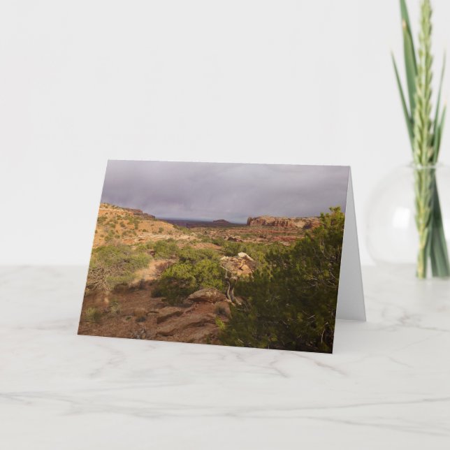 Carte Piste Neck Springs au parc national des Canyonland (Devant)