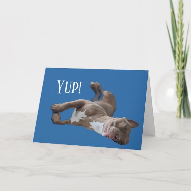 Carte Pit Bull Drôle (Devant)