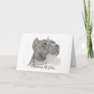Carte Pit Bull Thinking of You Card