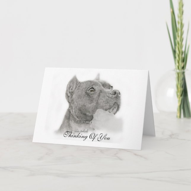 Carte Pit Bull Thinking of You Card (Devant)