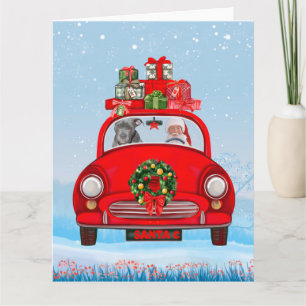 Carte Pitbull Chien En Voiture Avec Le Père Noël