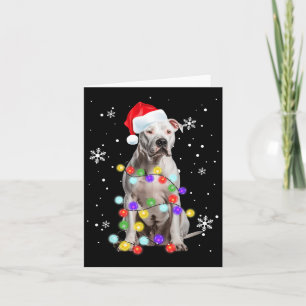 Carte Pitbull Chien Joyeux Dogmas Père Noël Pitbull Noël