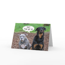 Pitbull et Rottweiler Graduation Told Ya Card