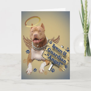 Carte Pitbull Méfiez-Vous Des Cadeaux Anges Du Gardien