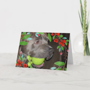 Carte Pitbull Terrier mignon avec cadre de fleur rouge