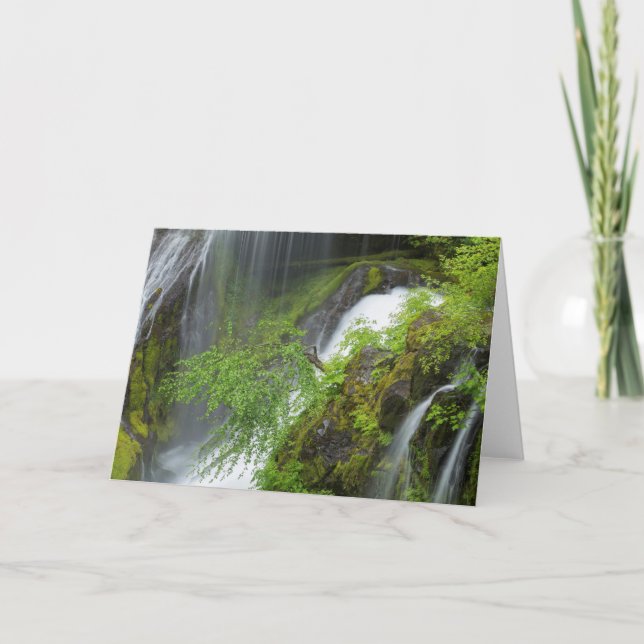 Carte Pittoresque de la cascade verte (Devant)