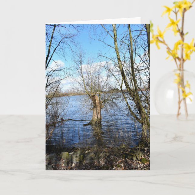 Carte Places perdues, Arbres sur la rive de la rivière (Fleur jaune)