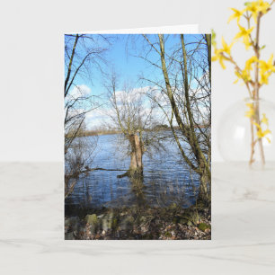 Carte Places perdues, Arbres sur la rive de la rivière