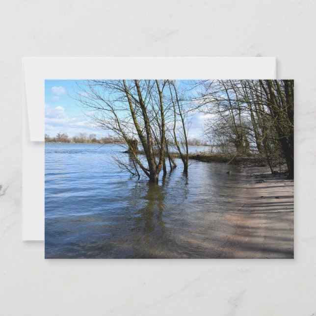 Carte Places perdues, Arbres sur la rive de la rivière (Devant)