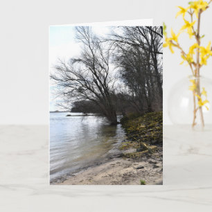Carte Places perdues, Arbres sur la rive de la rivière