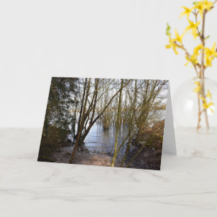 Carte Places perdues, Arbres sur la rive de la rivière