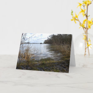 Carte Places perdues, Arbres sur la rive de la rivière