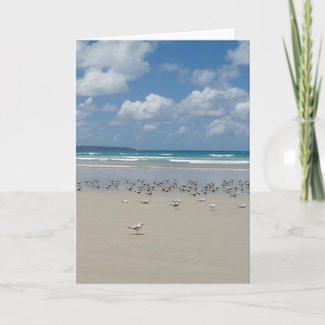 Carte Plage avec mouettes (Devant)