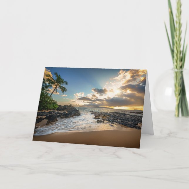 Carte Plage de Makena | Makena Cove (Devant)