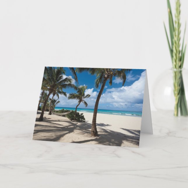 Carte Plages tropicales | Anguilla Beach, Palm Tree (Devant)