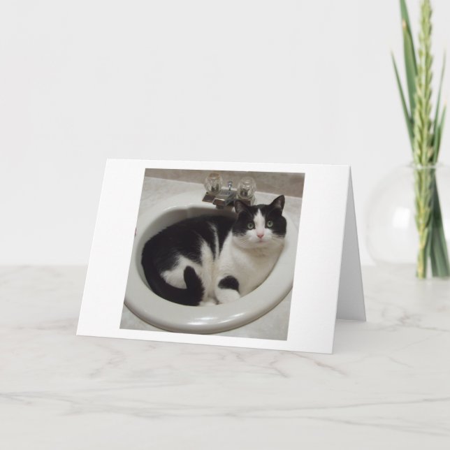 Carte Plaisir d'amoureux de les chats (Devant)