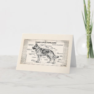 Carte Plan d'un chien berger allemand