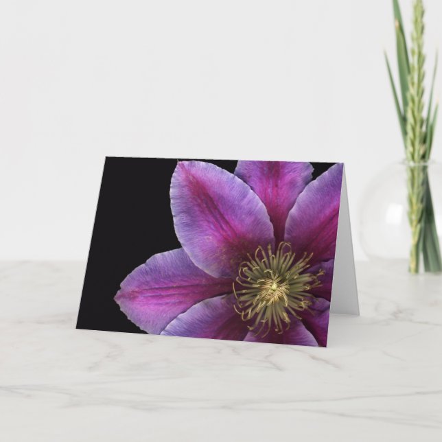 Carte Plan rapproché de clématite de Fuscia (Devant)