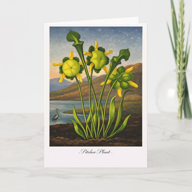 Carte Plante à piège — Réinterprétation botanique modern (Devant)
