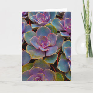 Carte Plante Cactus Succulent bleu violet vert