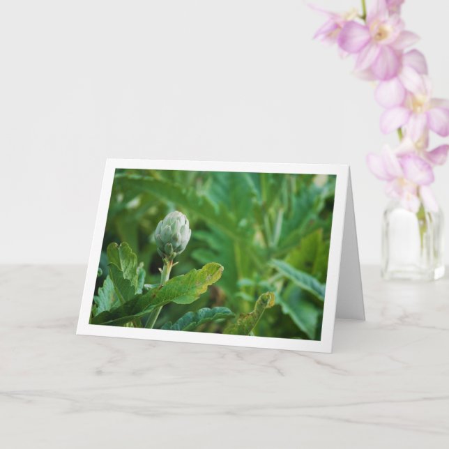 Carte Plante de Chardon Artichaut Globe (Orchidée)