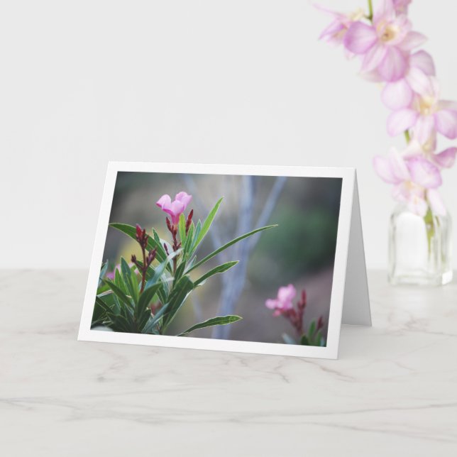 Carte Plante espagnol sauvage Nerium Oleander (Orchidée)