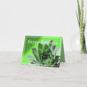 Carte Plante succulent vert clair sempervivum